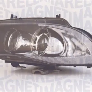 AGL-002909