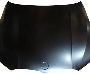 AGL-003171