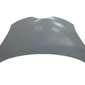 AGL-004876