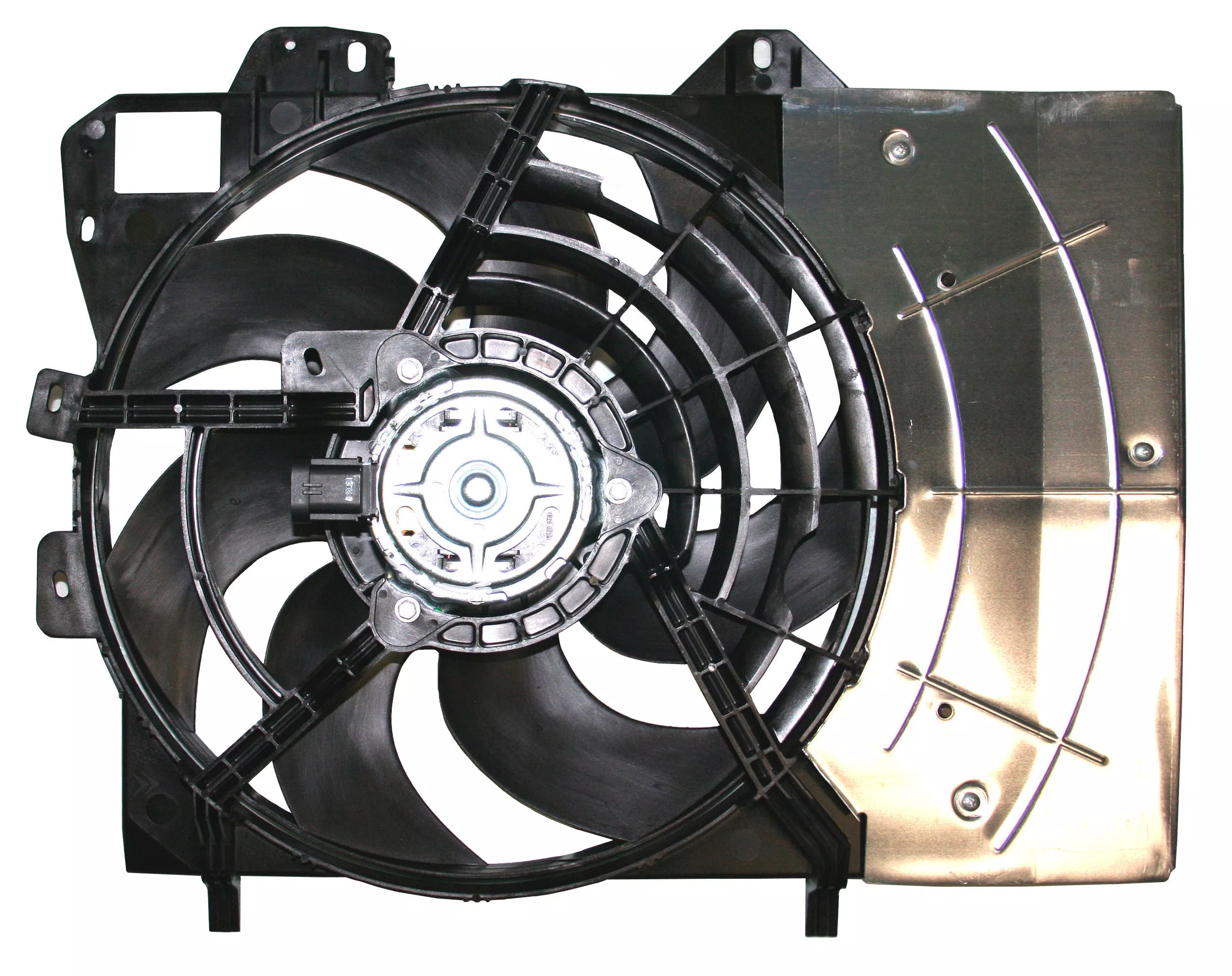 AGL-004941 AGL-004941