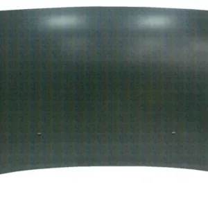 AGL-005013