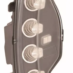 AGL-005861