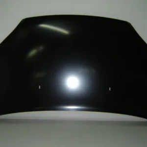 AGL-009317