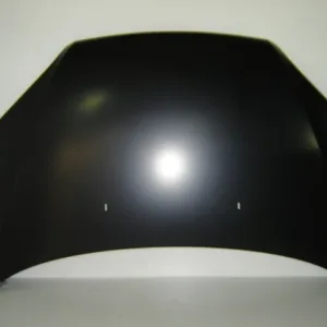 AGL-010079