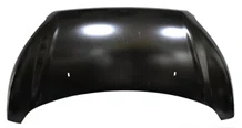 AGL-011609