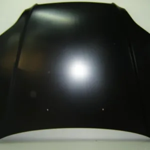 AGL-011897