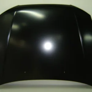 AGL-012107