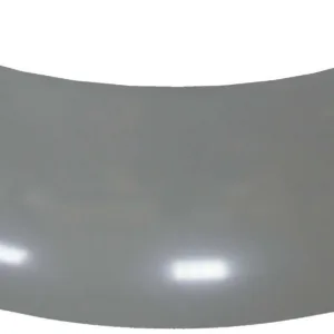 AGL-012410