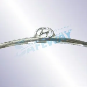 AGL-012525