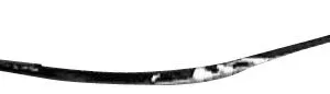 AGL-015850