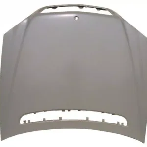 AGL-016305
