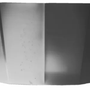 AGL-017813