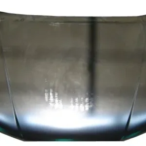 AGL-018739