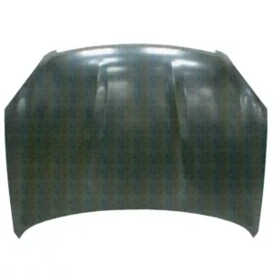 AGL-019010