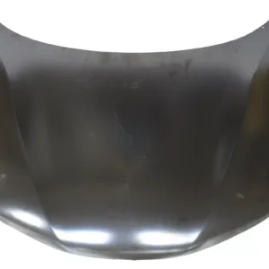 AGL-019117