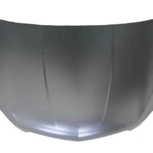 AGL-020907