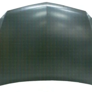 AGL-021060