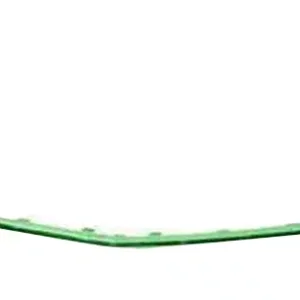 AGL-021250