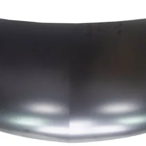AGL-021296
