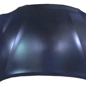 AGL-028017