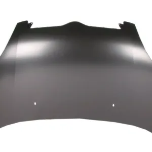 AGL-029006