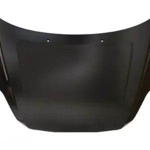 AGL-029604