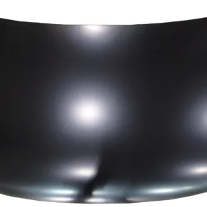 AGL-029971