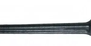 AGL-031429